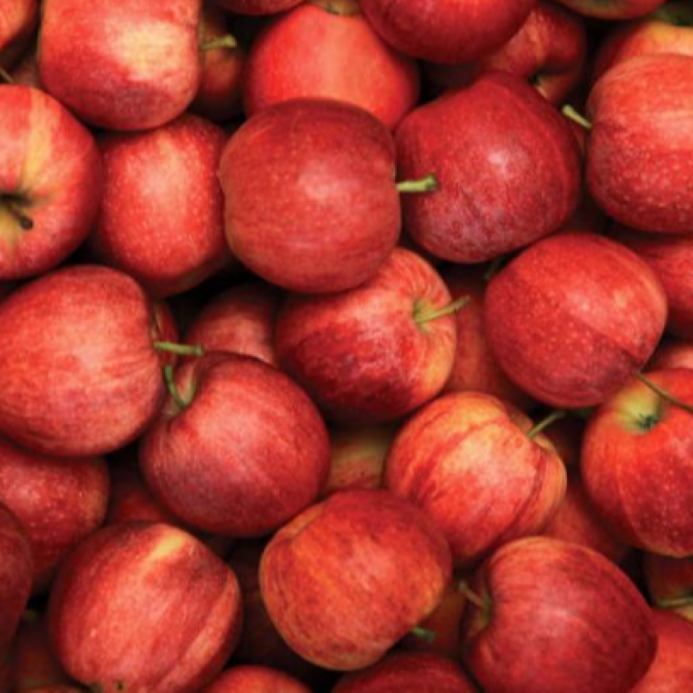 Red apple Gala