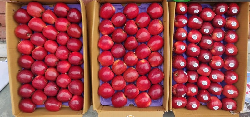 Red apple Gala