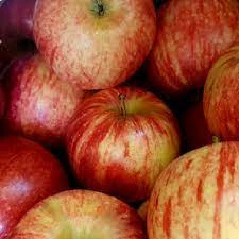 Red apple Gala