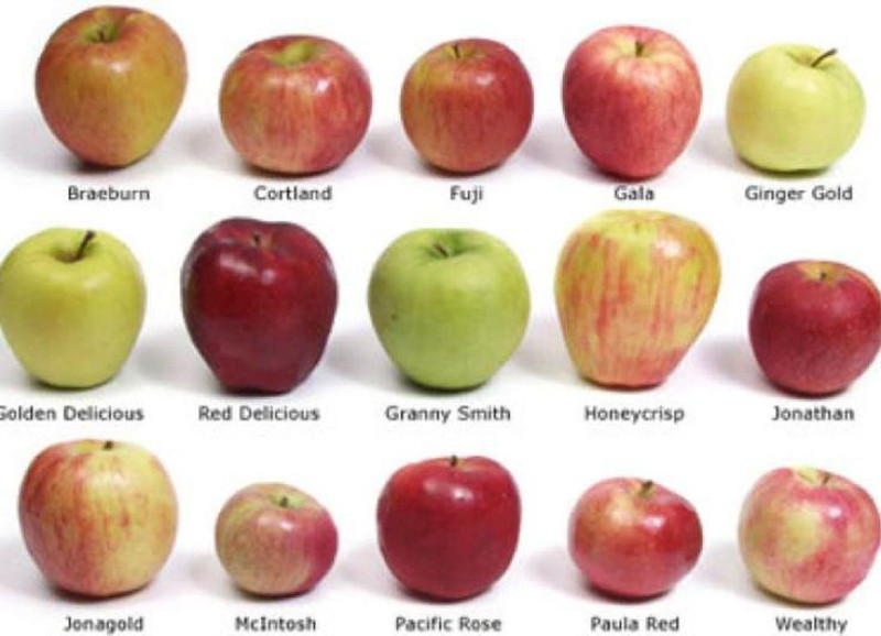 Red apple Fuji