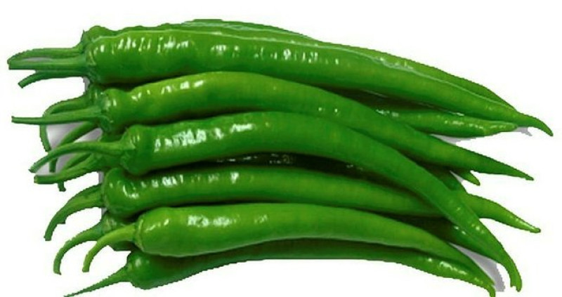 Green pepper