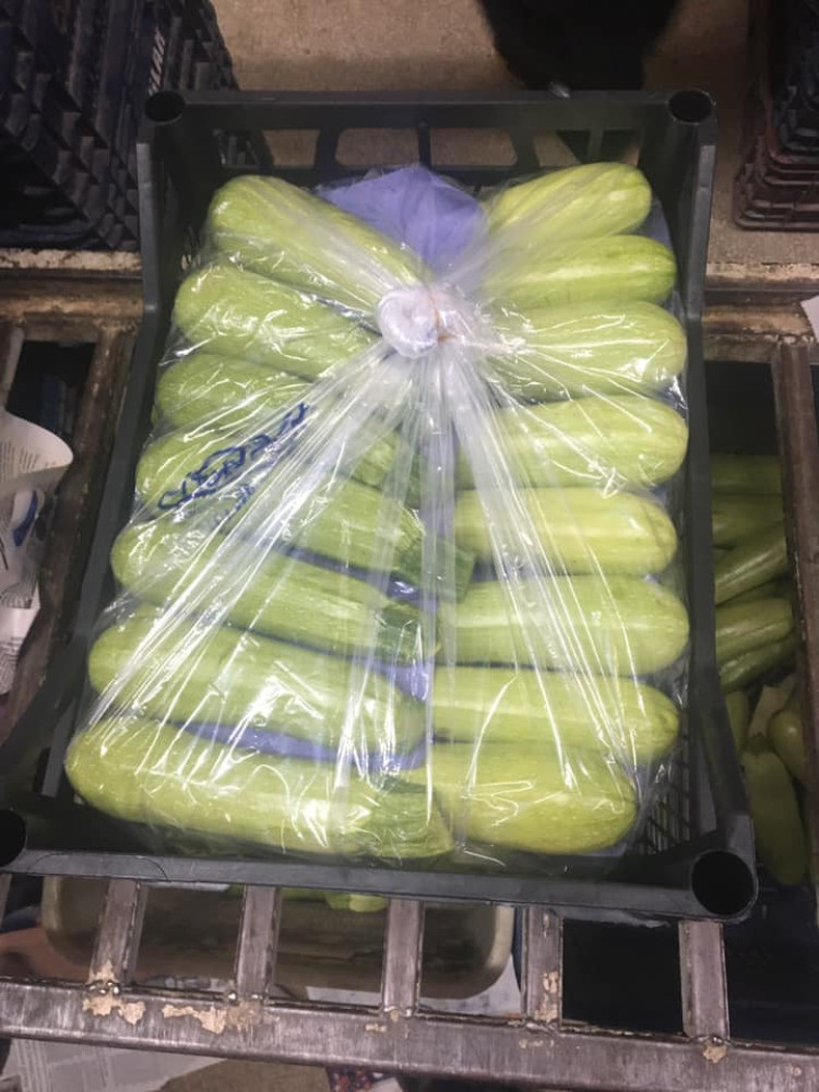 zucchini 