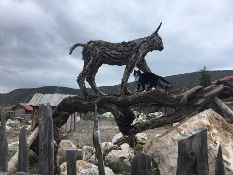 Wooden cat